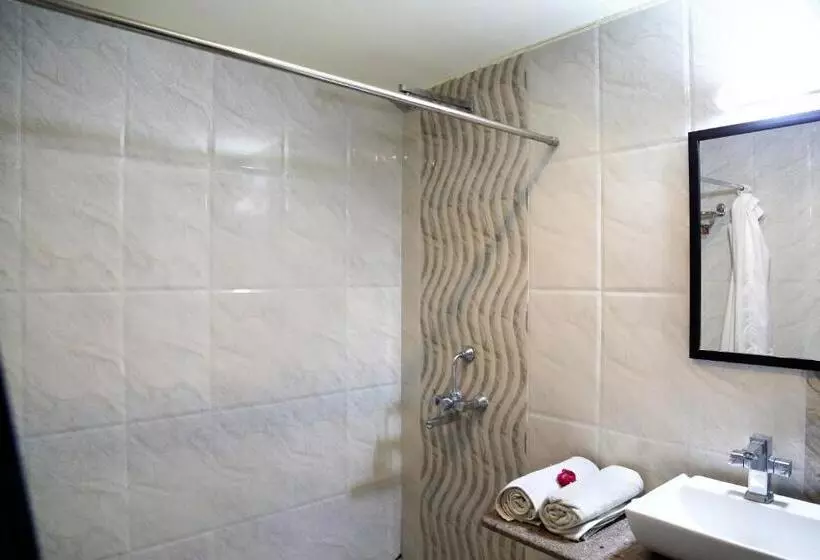 Hotel Narayans Leela Inn