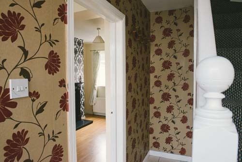 Отель Studio-47