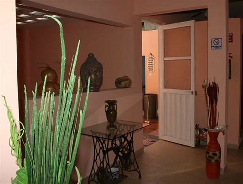 Hostel Casa Don Jose Hostal