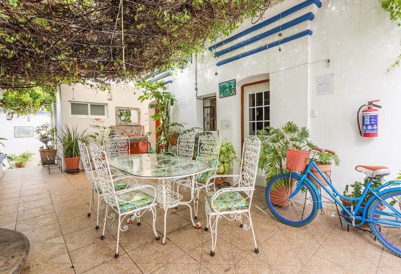 Общежитие Casa Dos Lunas