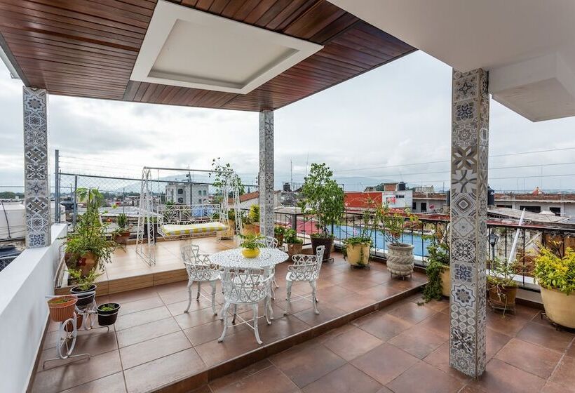 Общежитие Casa Dos Lunas