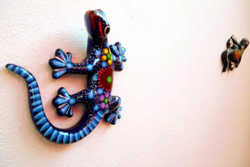 호스텔 Del Refugio