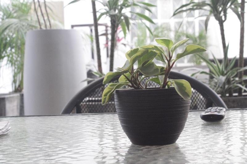 Общежитие Del Refugio