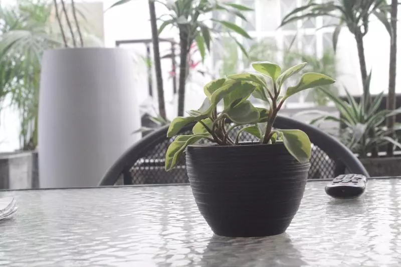 호스텔 Del Refugio