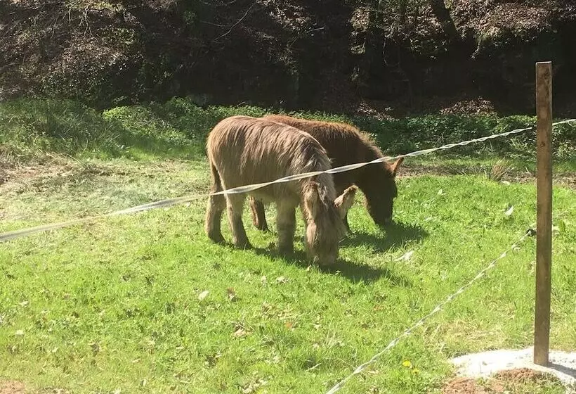 Aamiaismajoitus (B&B) Domaine Du Moulin