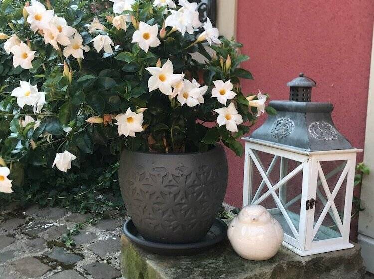 مبيت وإفطار Domaine Du Moulin