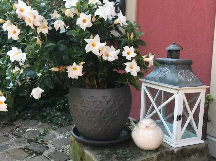 Aamiaismajoitus (B&B) Domaine Du Moulin