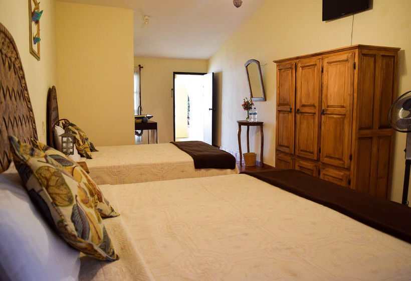 住宿加早餐  Ruiseñor