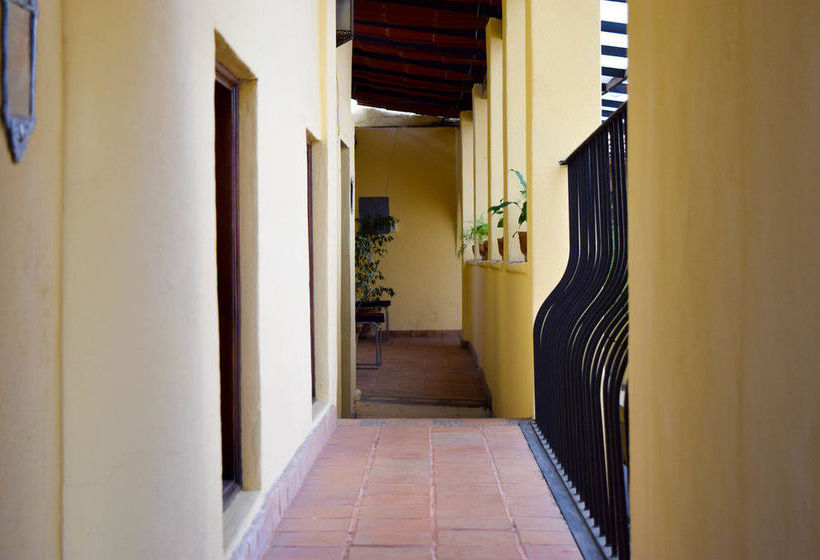 住宿加早餐  Ruiseñor