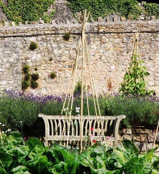 Bed and Breakfast Stay At Penny S Mill