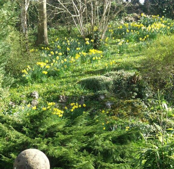 Bed and Breakfast Stay At Penny S Mill