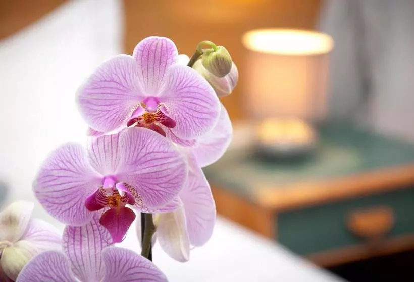 בית מלון כפרי Castel De Siam