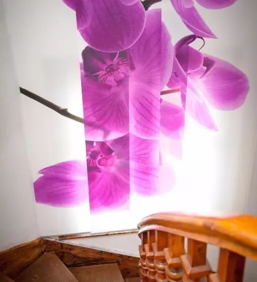 בית מלון כפרי Castel De Siam