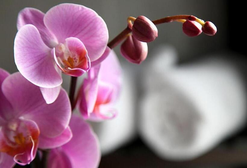 فندق Castel De Siam