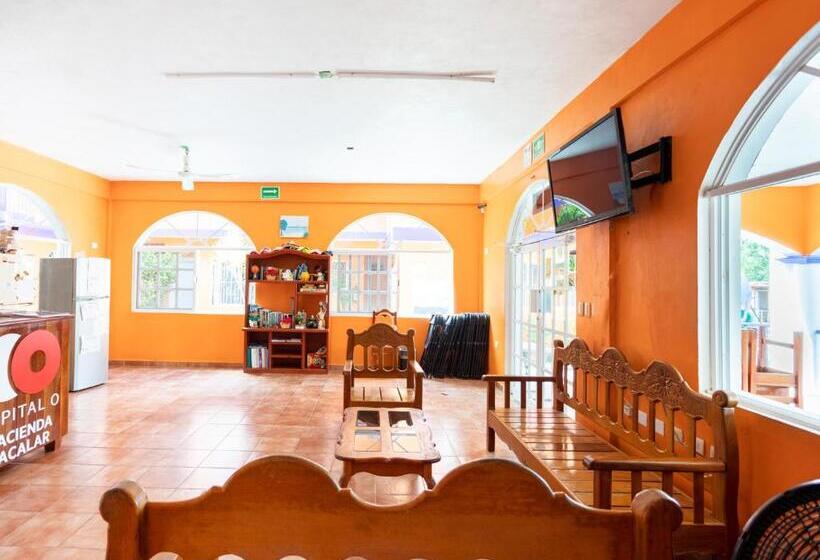 فندق Hacienda Bacalar