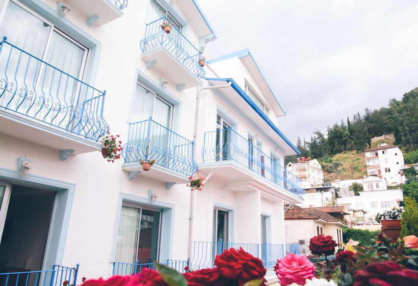 בית מלון כפרי Infinity City