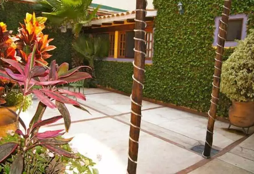 فندق Suites Colibri