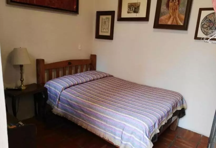 호스텔 Olga Querida B&b Hostal