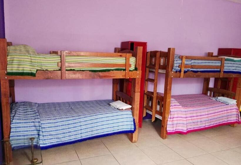 Schronisko Olga Querida B&b Hostal