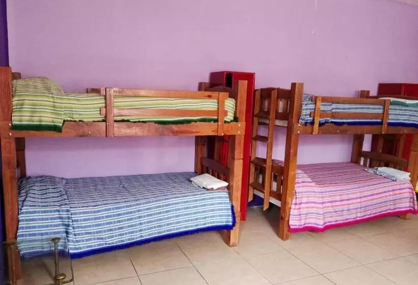 호스텔 Olga Querida B&b Hostal