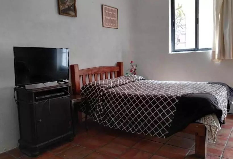 호스텔 Olga Querida B&b Hostal