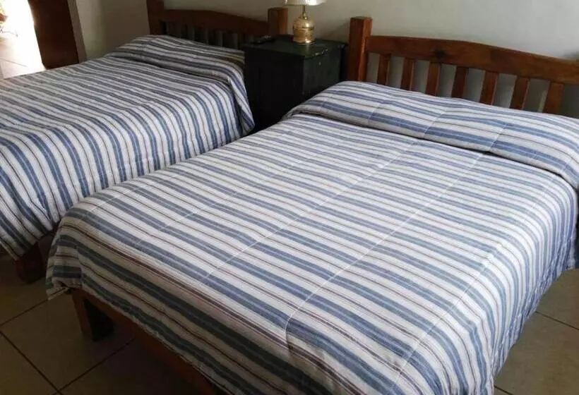 호스텔 Olga Querida B&b Hostal