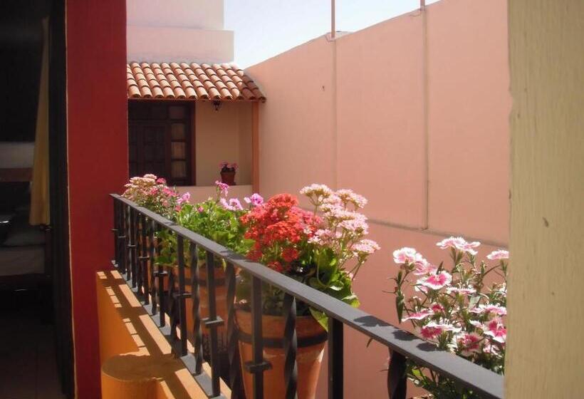 Schronisko Olga Querida B&b Hostal