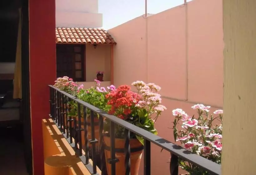 호스텔 Olga Querida B&b Hostal