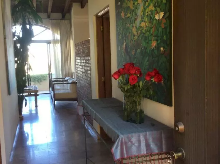 Sunrise Cove Luxury Penthouse