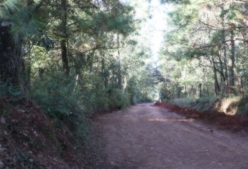 فندق Masia Arameni