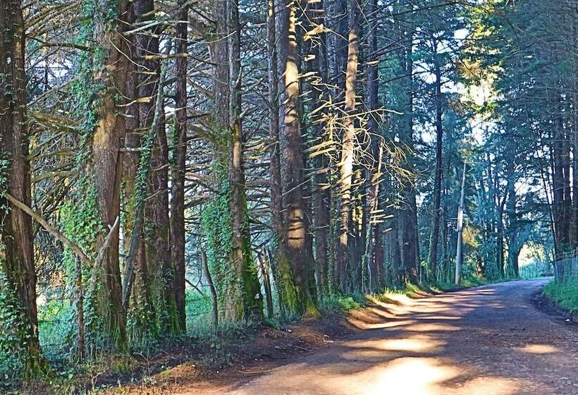 فندق Masia Arameni