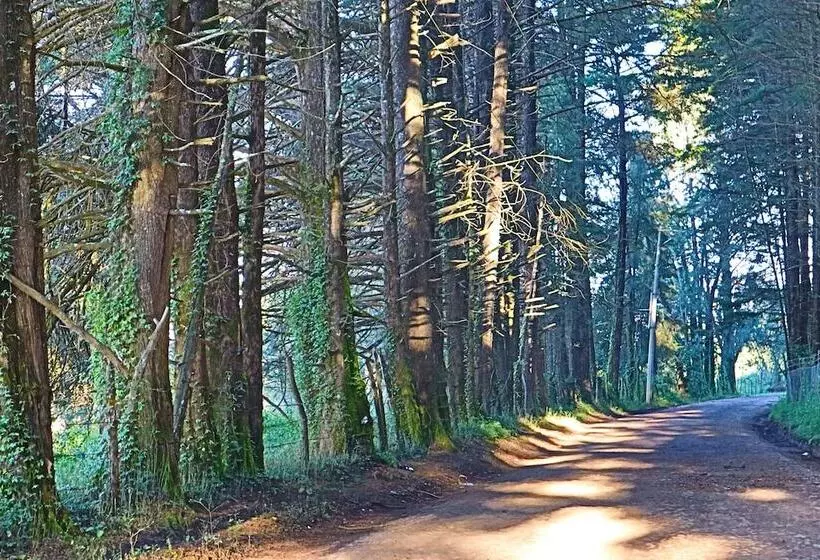 Hotelli Masia Arameni