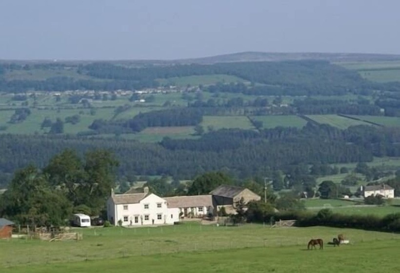 Bed and Breakfast Capple Bank Farm