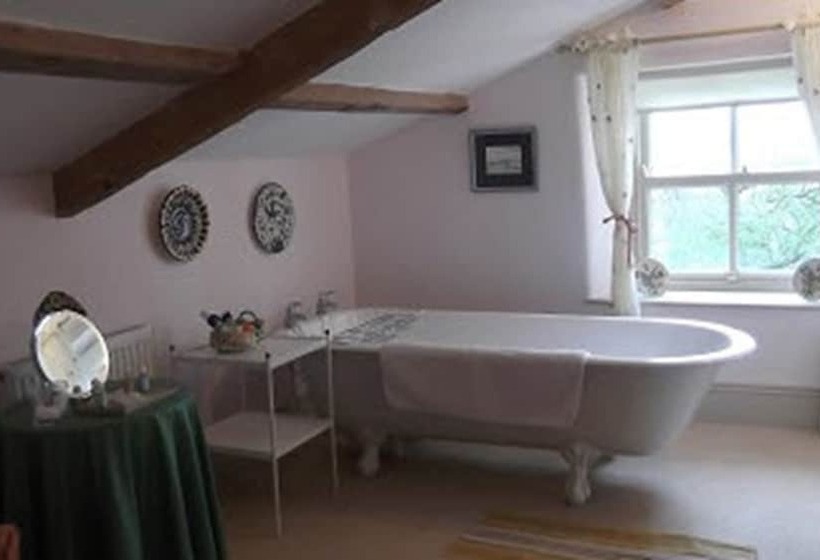 Bed and Breakfast Capple Bank Farm