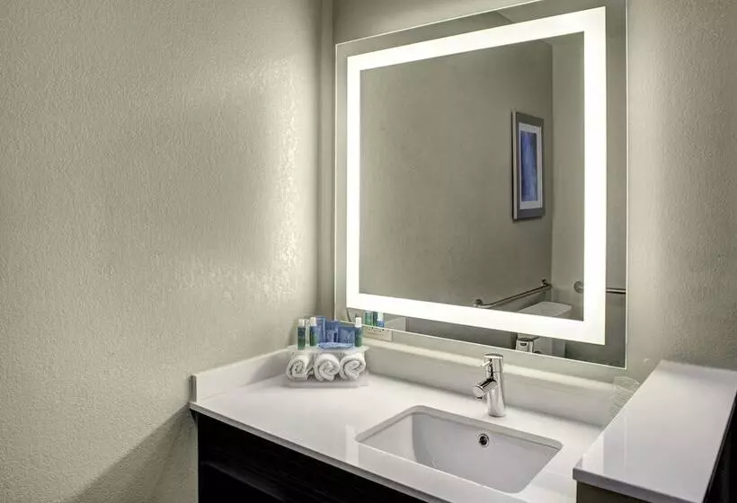 Отель Holiday Inn Express & Suites Coldwater, An Ihg