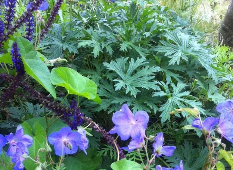 ホテル Cross Keys Inn