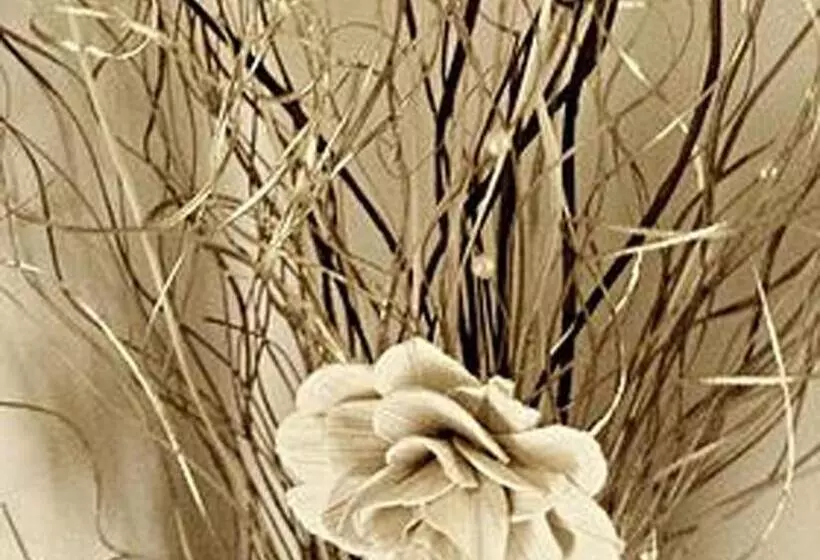 ホテル Cross Keys Inn