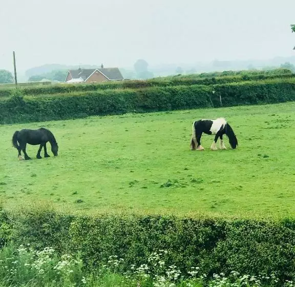 ホテル The Railway Inn