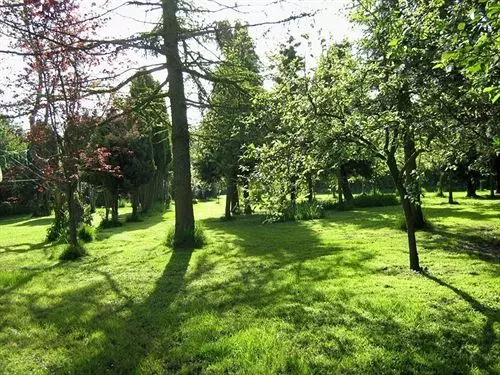 ペンション Foxwood Guest House