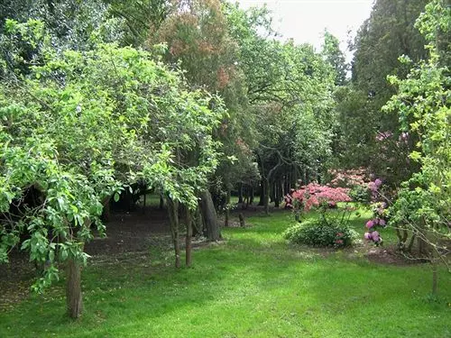 ペンション Foxwood Guest House