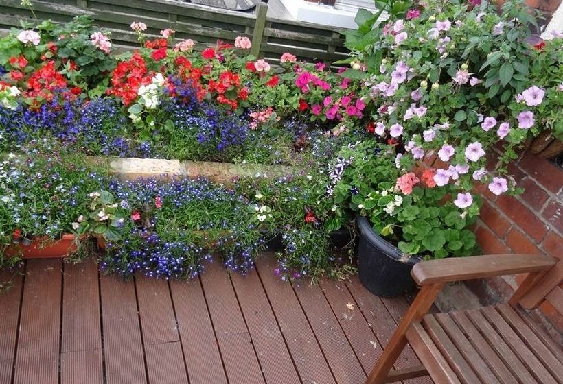 بنسيون Sea Dogs Guest House