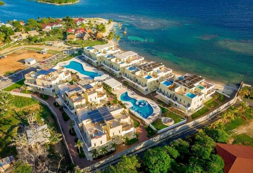 ベッドアンドブレックファースト Las Palmas   New Horizon