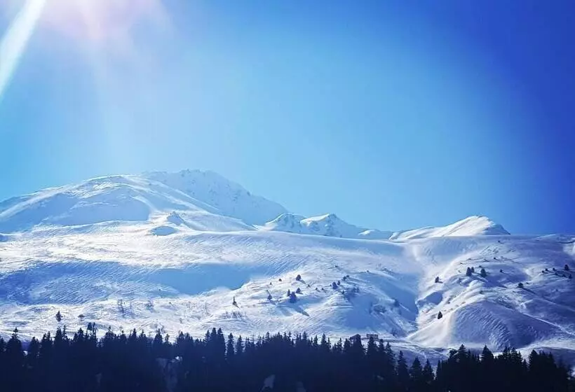 Hotelli Restaurant Du Crêt