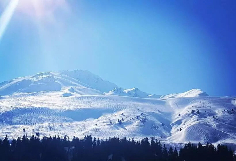 Hotelli Restaurant Du Crêt