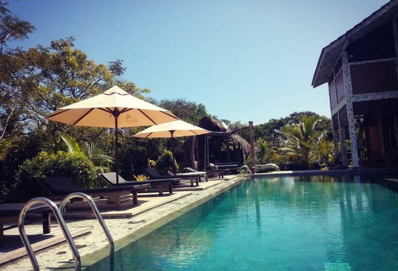 בית מלון כפרי Ohei