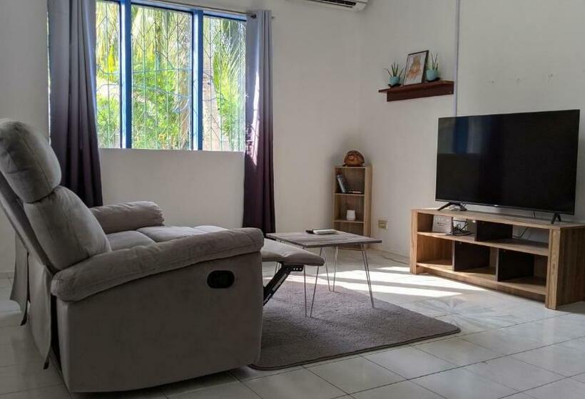 Panzió Crazy Bears Guesthouse