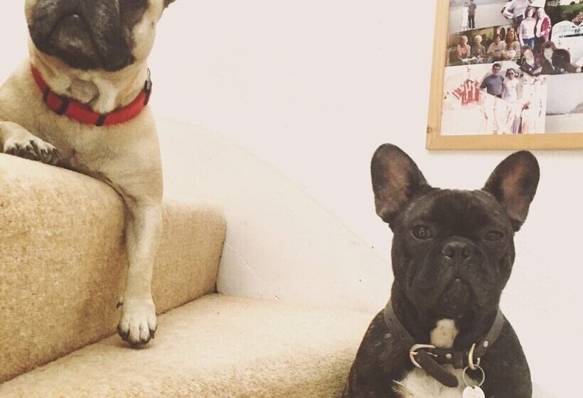 مبيت وإفطار Shakespeare's View