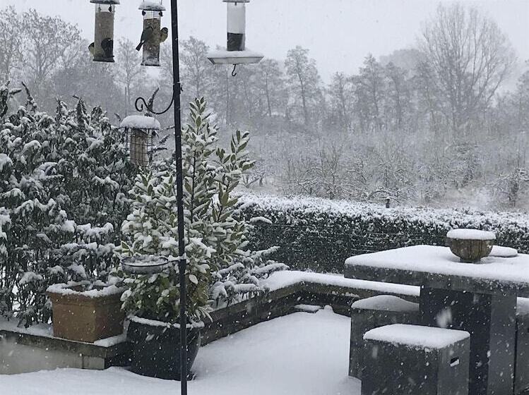 مبيت وإفطار Shakespeare's View