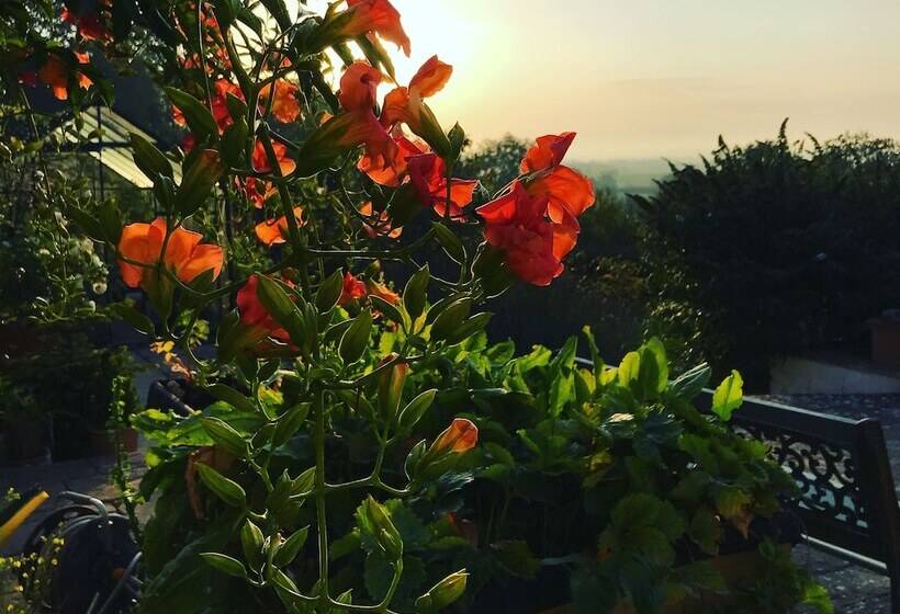 مبيت وإفطار Shakespeare's View