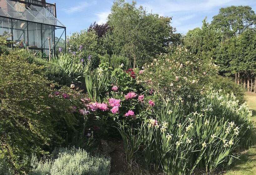 مبيت وإفطار Shakespeare's View